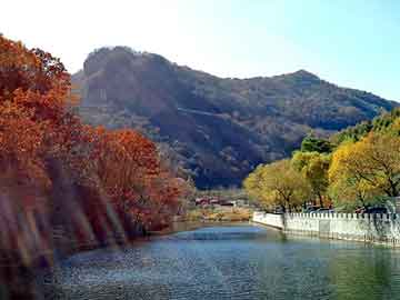 正新澳门二四六天天彩，海龙燃油宝